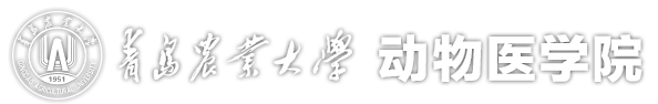 yl23455永利集团官网