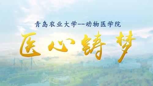 yl23455永利集团官网宣传片