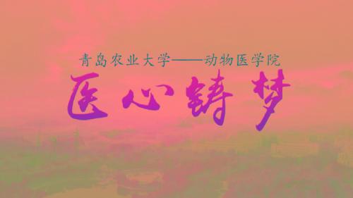 医心铸梦--2018年yl23455永利集团官网教学科研宣传片